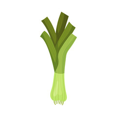 Leek Vegetable Isolated on White Background Vector Illustration