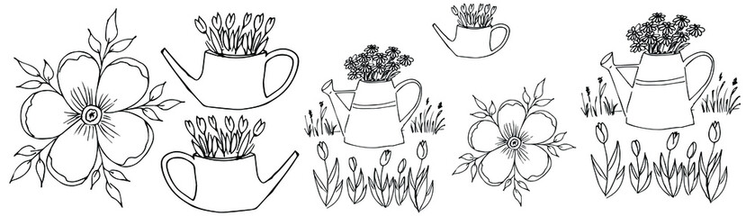 Vector sketch of a watering can with flowers, and a five-leaf flower. Spring drawing.