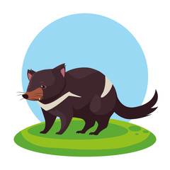 australian tasmanian devil with background landscape