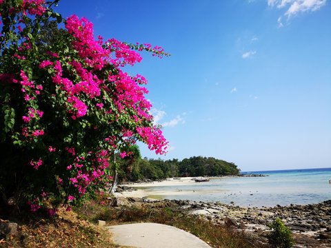Ko Phi Phi Trauminsel Thailand