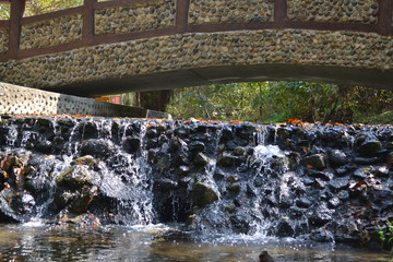 Fototapeta na wymiar A small waterfall that is flowing