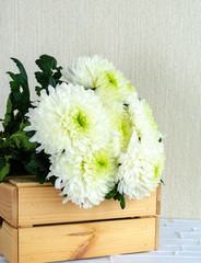 Bouquet of white chrysanthemums. Chrysanthemums for a birthday. Beautiful bouquet for the holiday. Large chrysanthemums.