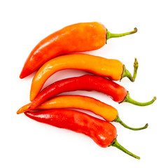 hot chilli peppers isolated on white background