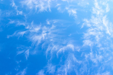 white fluffy clouds in the blue sky