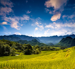 Terraced green and yellow rice fields of Pu Luong, close to Mai Chau in Thanh Hoa province. Transition stage to harvest season in Pu Luong. 