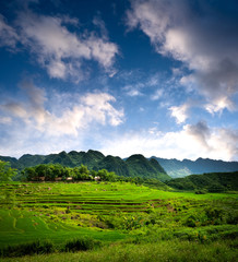 Terraced green and yellow rice fields of Pu Luong, close to Mai Chau in Thanh Hoa province. Transition stage to harvest season in Pu Luong. 