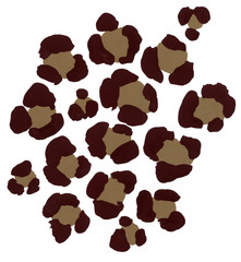 Animal print leopard 