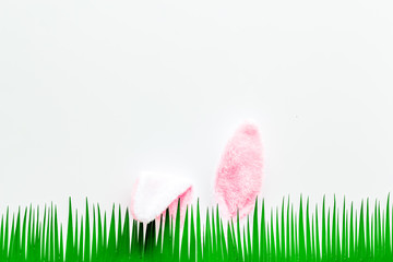 Easter bunny's ears behind grass on white background top-down copy space