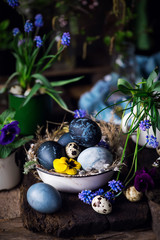 Easter colored eggs.style rustic.