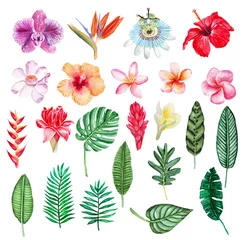 Fotobehang Tropische planten Grote vector hand getekende aquarel tropische planten set. Perfect voor huwelijksuitnodigingen, wenskaarten, blogs, posters en meer