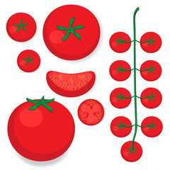 Tomatoes set vector