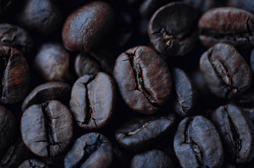 background with coffee beans in cold colors