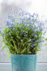 Little blue flowers forget-me-not near window with raindrops.