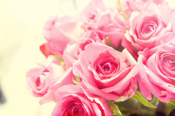Obraz na płótnie Canvas Abstract background of pink roses