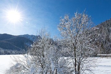 Beautiful landscape shot on sunny winter day