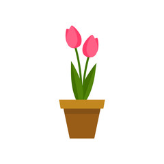 Vector illustration with flower pot and tulip eps 10