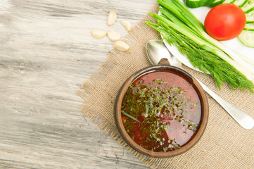 Ukrainian borsch with green onions, bread and garlic