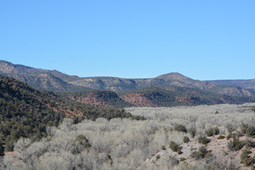 Beautiful winter view of the Cottonwood Trees and valley at Carrizo in the Salt River Canyon, Gila County, Apache Indian Reservation, Eastern Arizona USA