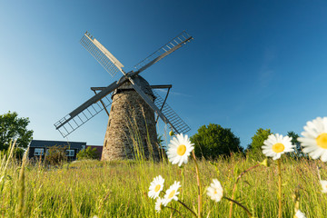 Gro&szlig;enheider K&ouml;nigsm&uuml;hle, Kutenhausen, Minden, Norddeutschland