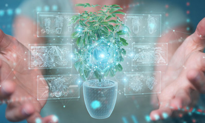 Woman holding and touching holographic projection of a plant with digital analysis 3D rendering