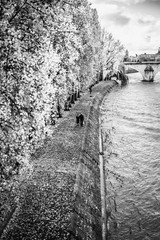 Fototapeta premium Paris Seine Ufer 