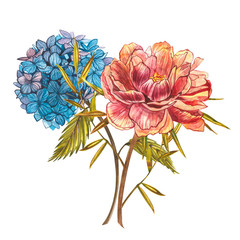 Watercolor bouquet with Piones and Hidrungea. Wild flower set isolated on white. Botanical watercolor illustration, rustic flowers. Good for cosmetics, medicine, treating, aromatherapy, nursing