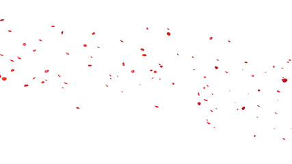 Red rose petals Blowing in the wind on a white background.