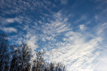 Altostratus clouds on a blue sky