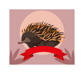 greeting card with australian echidna