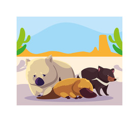 card with animals in australian landscape