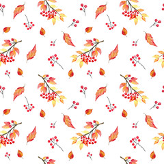 Seamless watercolor autumn pattern with rowan berries and  fall leaves on the white background