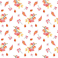 Seamless watercolor autumn pattern with rowan berries and  fall leaves on the white background