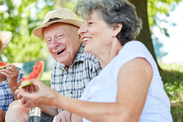 Fröhliches Paar Senioren auf einem Picknick