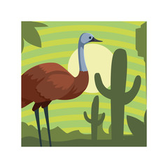 card with emu in australian landscape