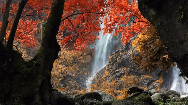 Still shot of amazing in nature, beautiful waterfall at colorful autumn forest in fall season