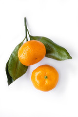 two fresh mouth-watering tangerines with beautiful green leaves isolated on white