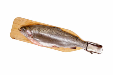 Salmon fish isolated on white background, rainbow trout, Fresh raw fish.