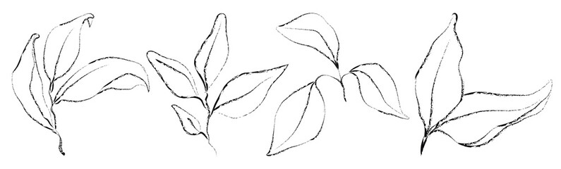 Vector set of hand drawn plants. Botanical sketched 
