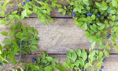 twigs with blueberries on a wooden table top view. fresh summer berries