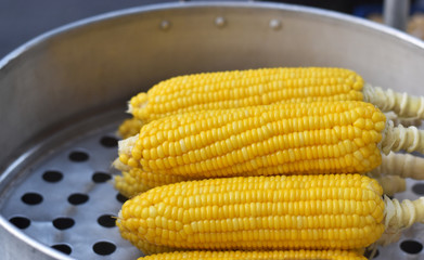 Steamed sweet corn,healthy organic nutrition