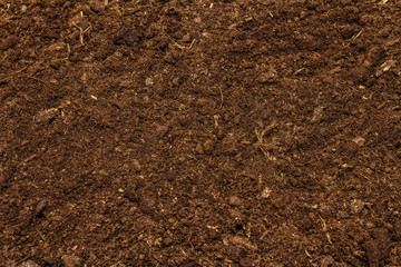 Soil texture background for gardening concept. Cultivated ground, environmental surface