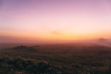 Early morning in a field with a pink dawn and shrouded haze of mist, a mesmerizing mysticism of nature