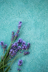 Purple lavender flowers on a turquoise background