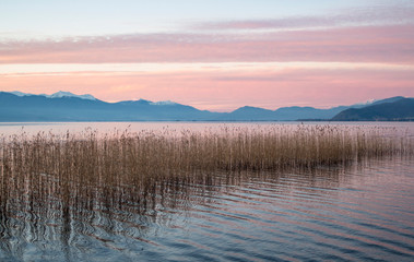 Panele Szklane Podświetlane  Seria pejzaży jeziornych. Z trzciną. Delikatne różowe barwy zachodzącego słońca odbijają się w wodzie. Jezioro Ochrydzkie, Macedonia Północna.