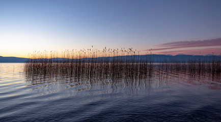 A series of lake landscapes. Violet pink sunset reflected in the water. Against the background of silhouettes of reeds. Ohrid Lake, Northern Macedonia.