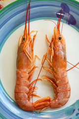 raw ocean king prawns