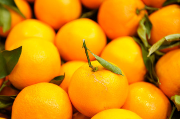 oranges in a farmers market