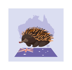 greeting card with australian echidna