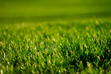 Crop fields, Spain, Europe