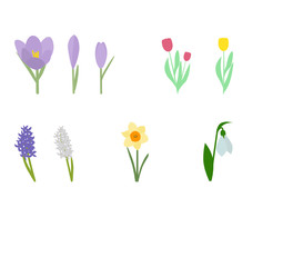 Spring flowers illustration set